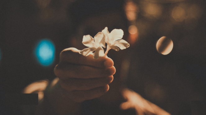 the last flowers.png