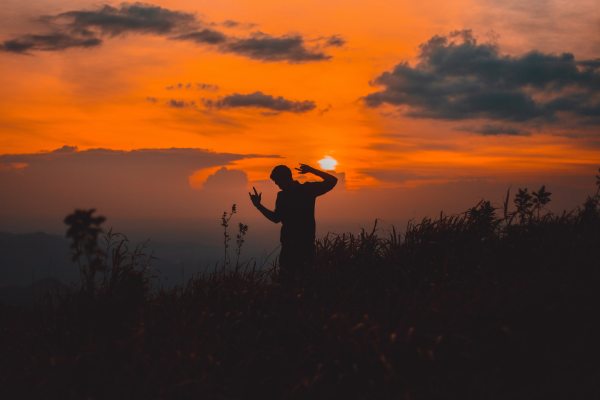 backlit-dawn-dusk-2292833