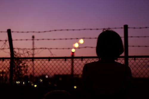 pexels-photo-1022690