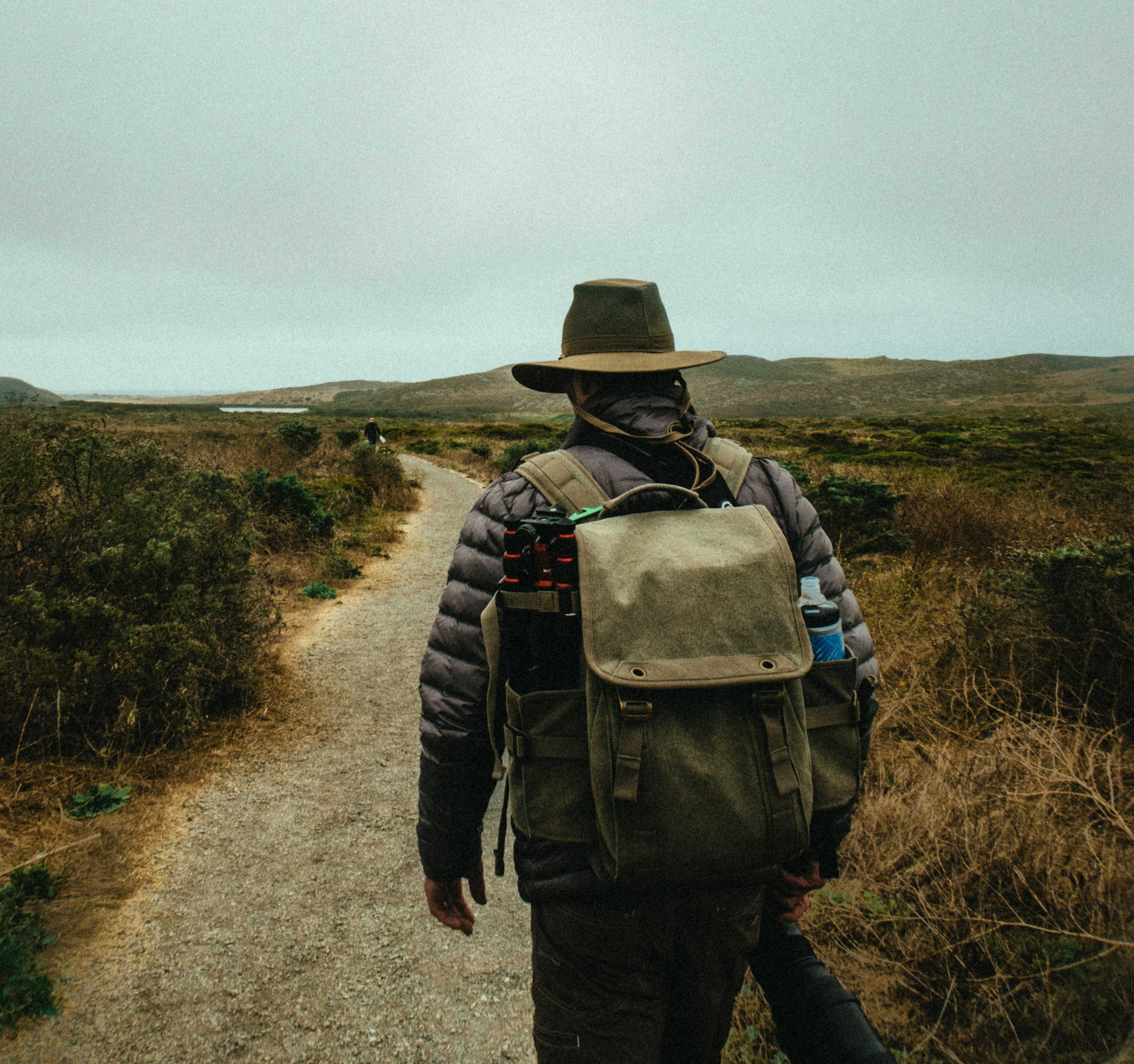 the spirit of the wild