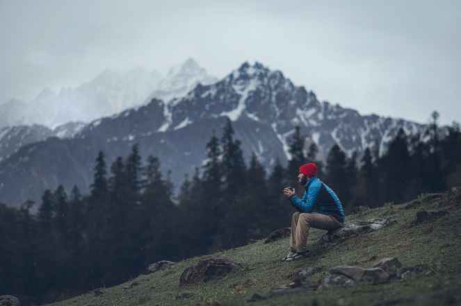 pexels-photo-2445656